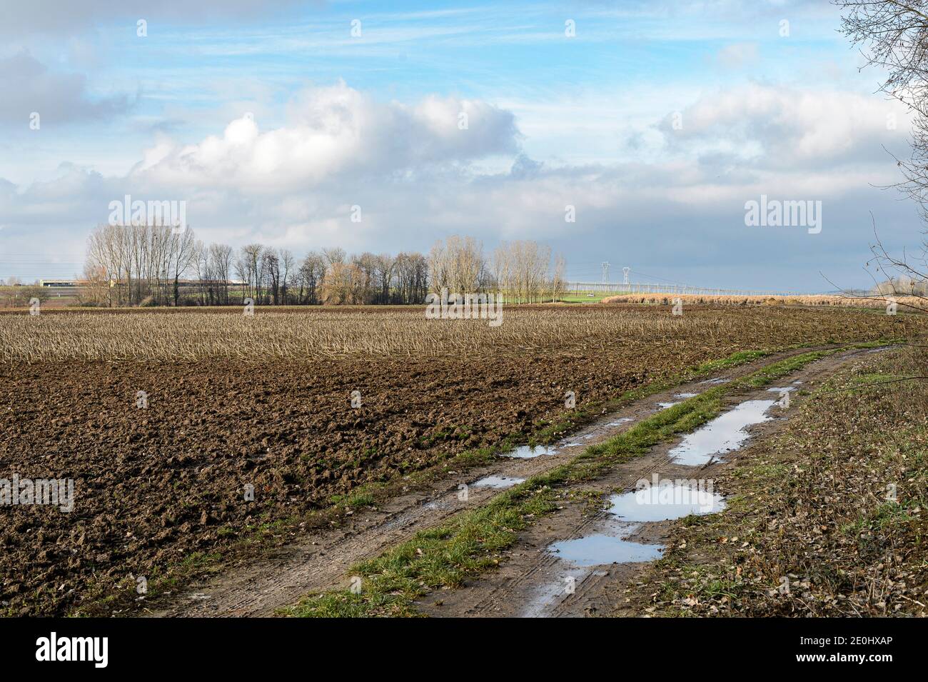 Paesaggio di campagna in inverno, Alsazia, Francia. - Vista dei campi in inverno. Cielo blu con alcune nuvole. Le pozzanghere su un percorso riflettono il colore del cielo. Foto Stock