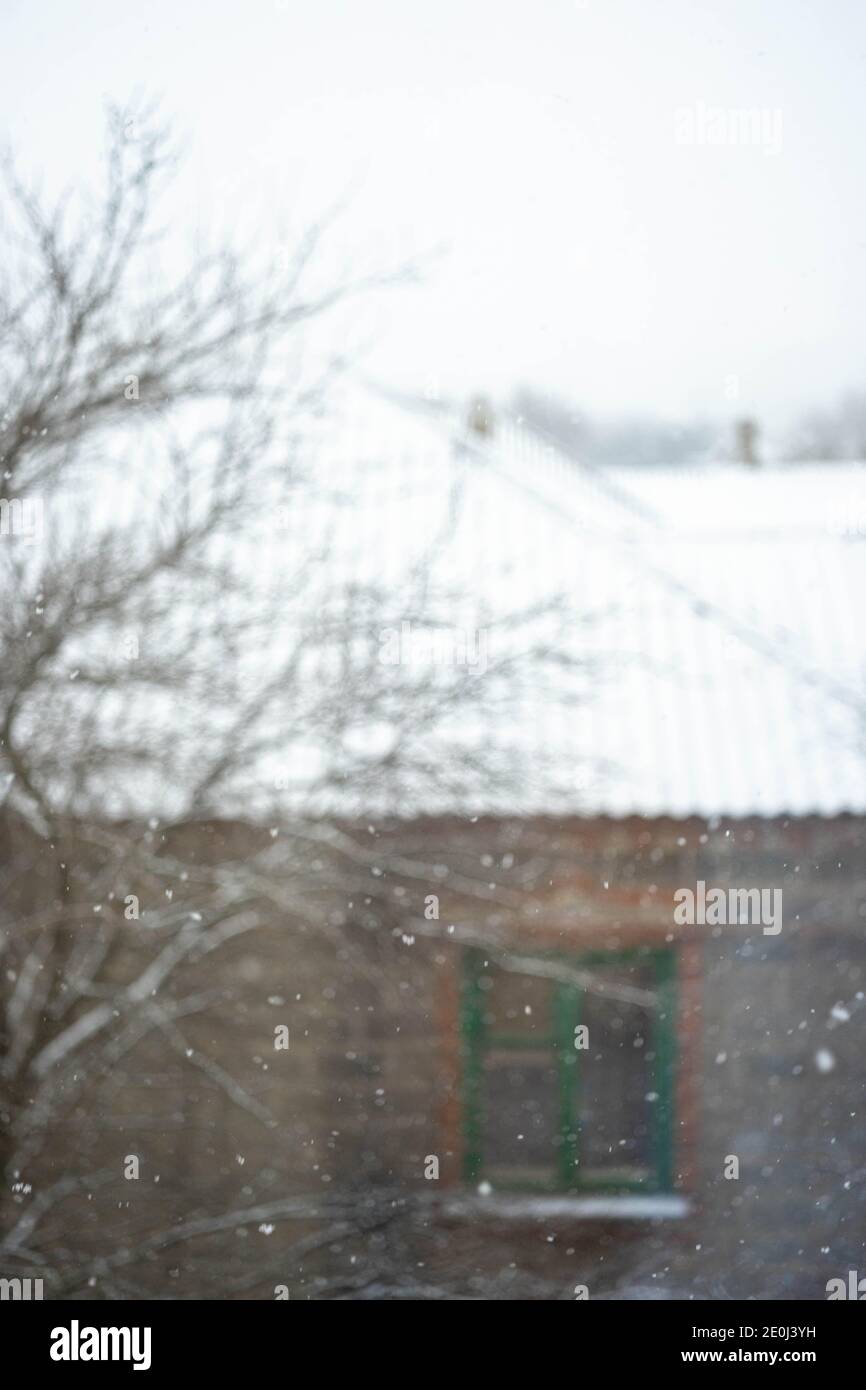 Paesaggio invernale con alberi e casa rurale in nevicata Foto Stock