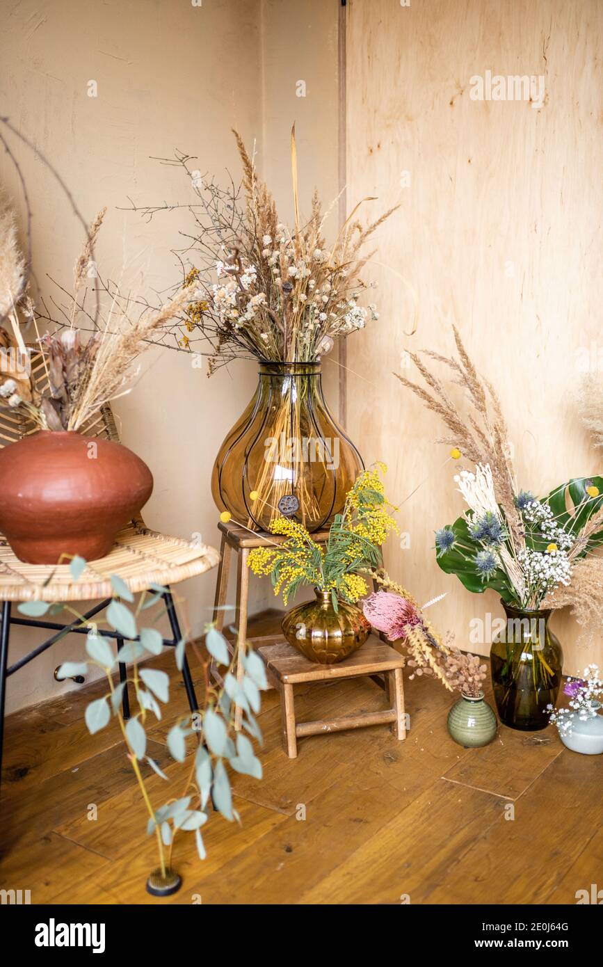 Varietà di diverse composizioni di fiori secchi e freschi e. erbe in una stanza con pareti beige Foto Stock