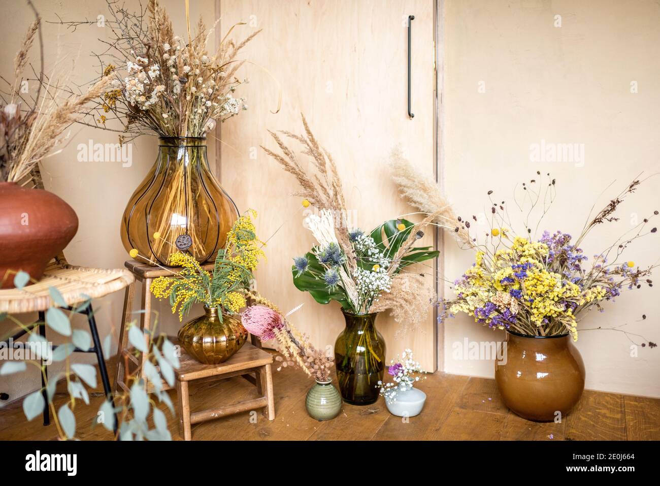 Varietà di diverse composizioni di fiori secchi e freschi e. erbe in una stanza con pareti beige Foto Stock