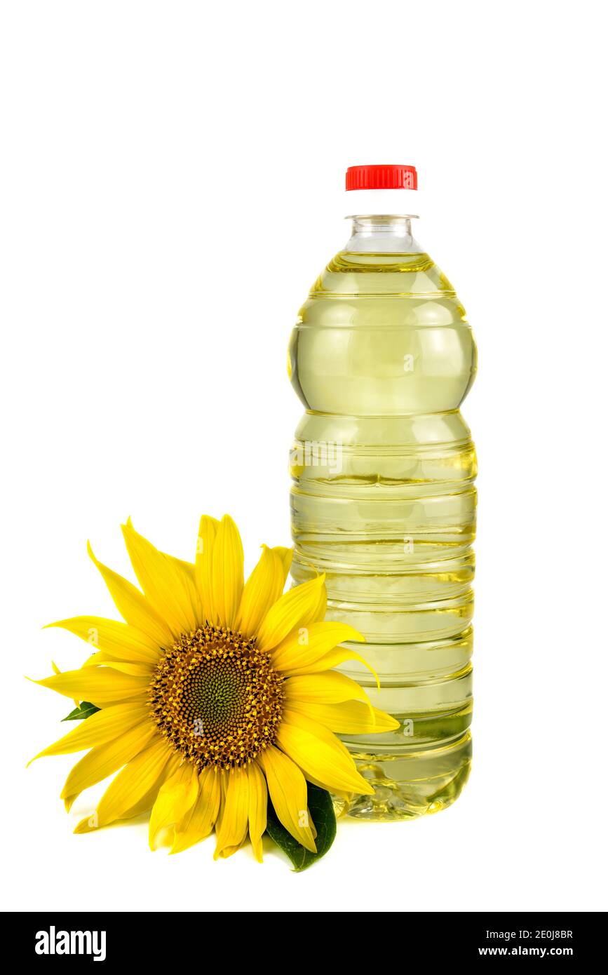 Bottiglia di plastica di olio di girasole con fiore di girasole fresco isolato su sfondo bianco. Foto Stock