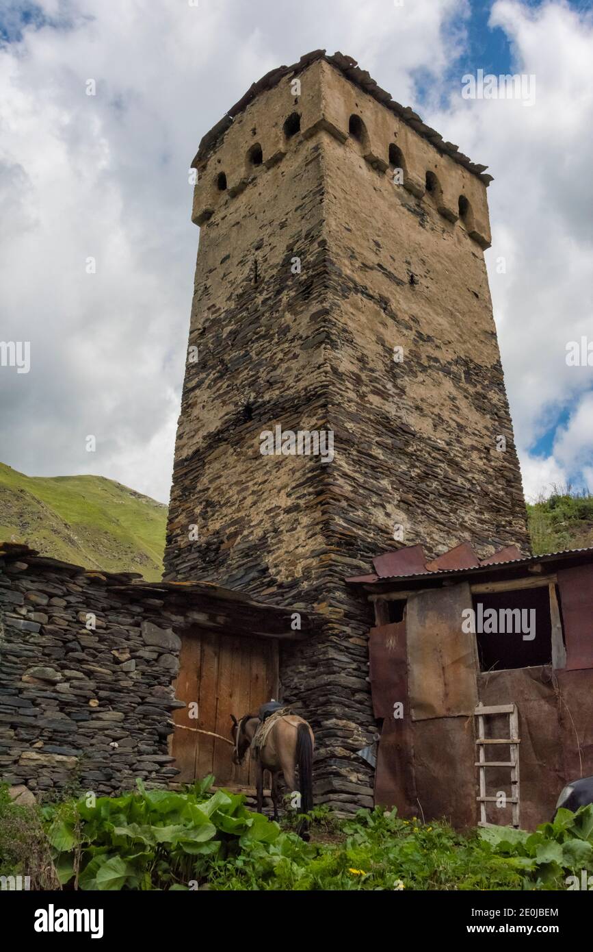 Casa di Svan con torre di guardia medievale nella montagna del Caucaso, Ushguli, regione di Svaneti, Georgia Foto Stock