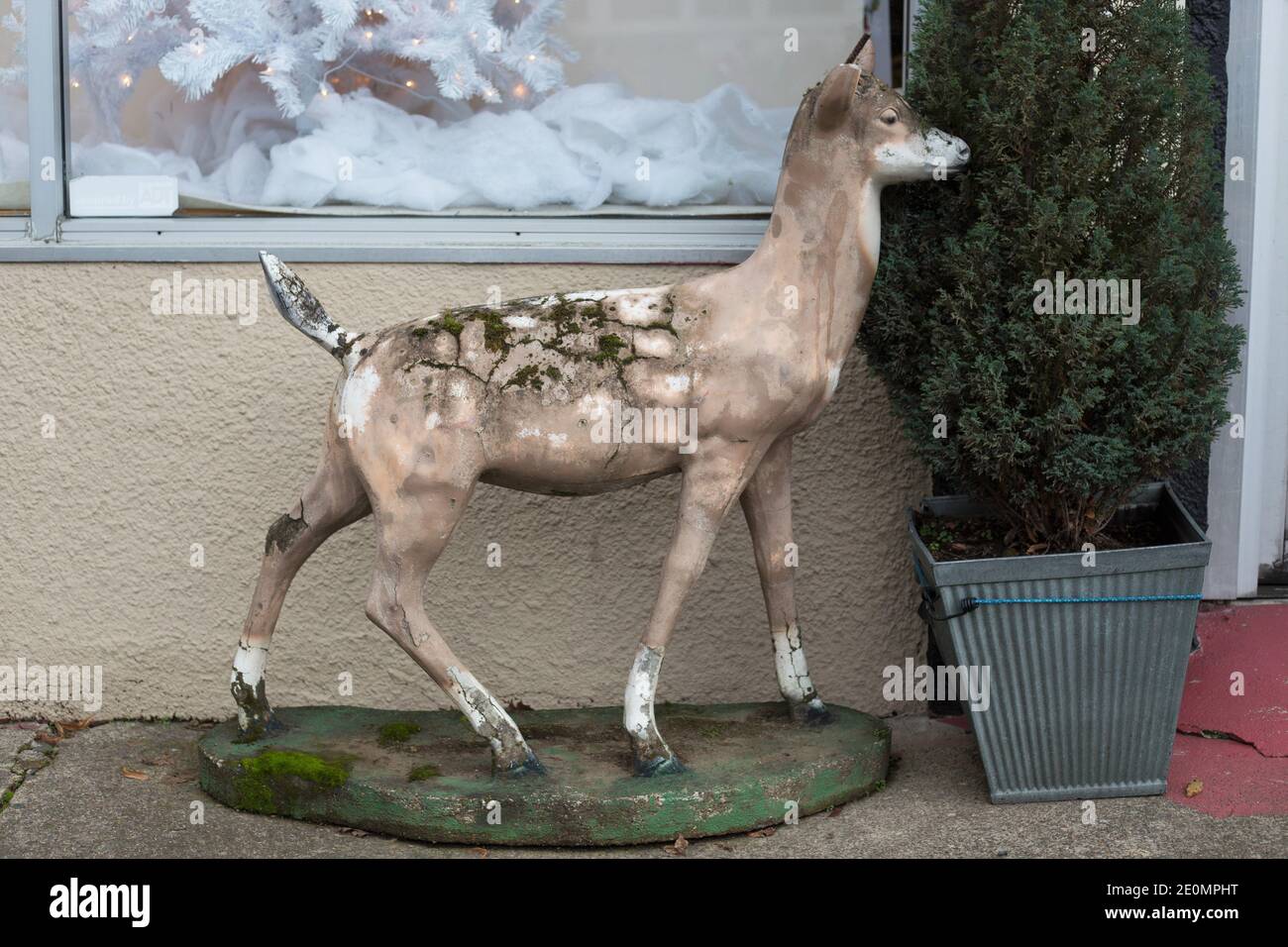 Una statua croccante e mussosa di cervo. Foto Stock