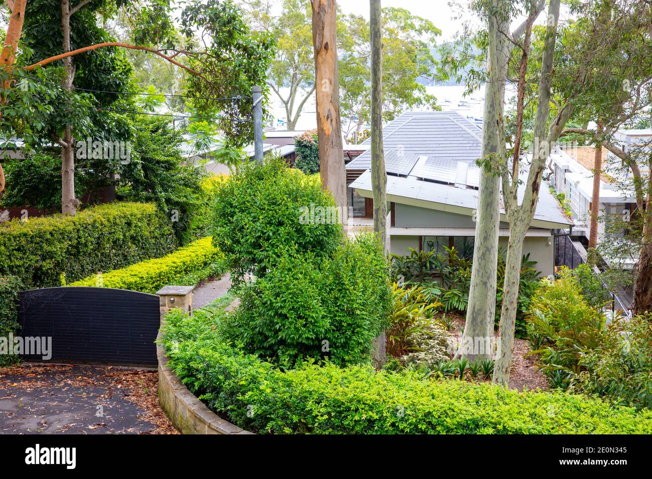 Case di Sydney con lussureggianti giardini verdi e fogliame, qui a Clareville su Pittwater un sobborgo di Sydney sulle spiagge settentrionali, NSW Foto Stock