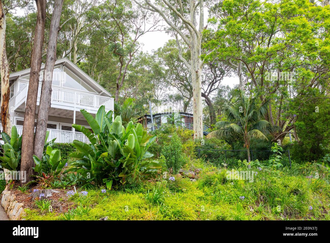 Giardino privato di abitazione di Sydney, giardini anteriori di una casa a Clareville sulle spiagge settentrionali di Sydney, Australia Foto Stock
