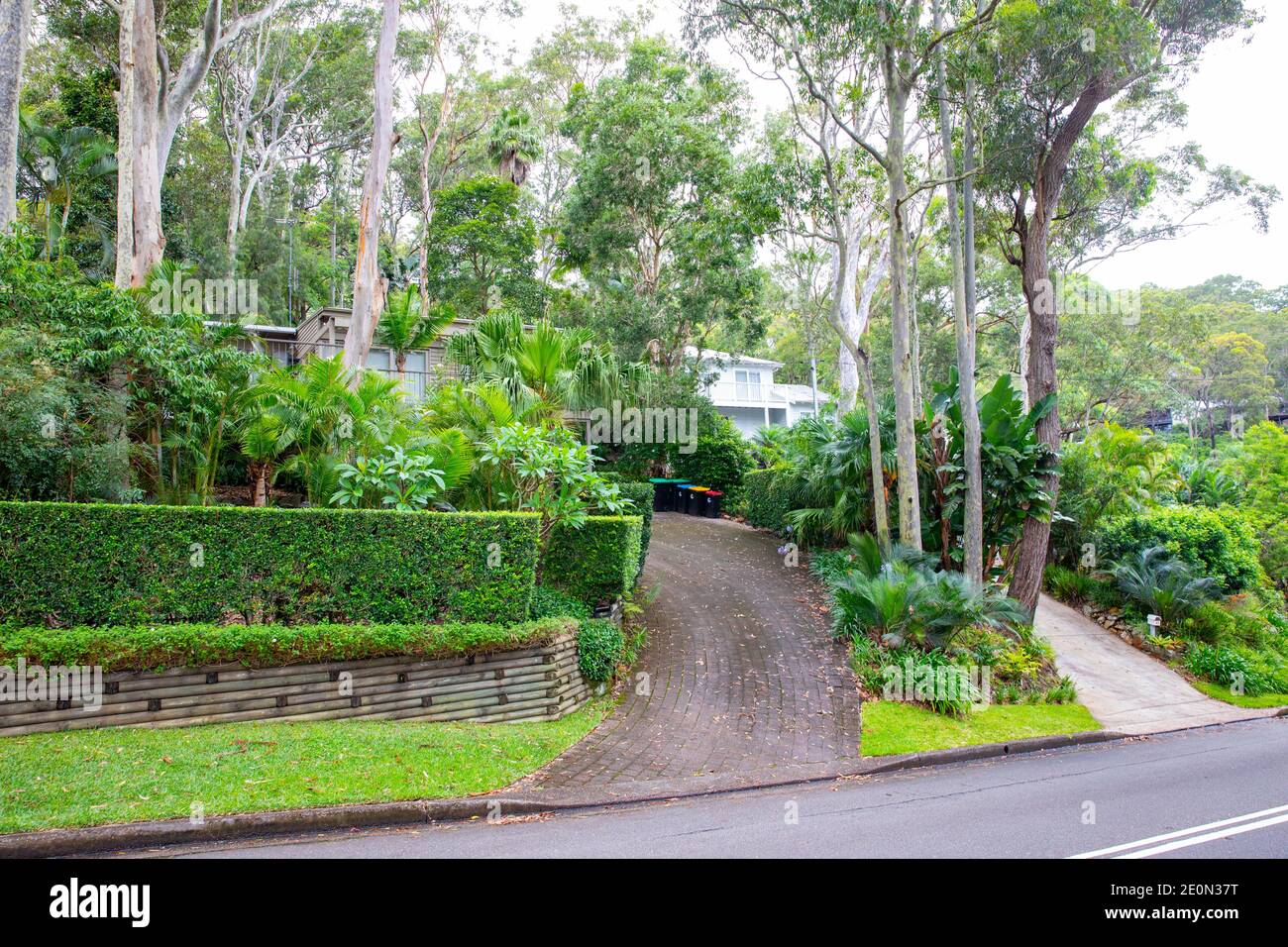 Giardino privato di abitazione di Sydney, giardini anteriori di una casa a Clareville sulle spiagge settentrionali di Sydney, Australia Foto Stock