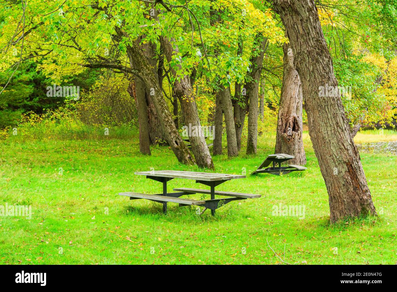 Price Conservation Area Hastings County Tweed Ontario Canada in autunno Foto Stock