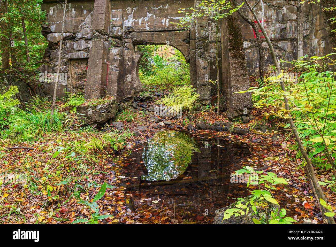 Flinton Falls Conservation Area Lennox Addington County Flinton Ontario Canada in autunno Foto Stock