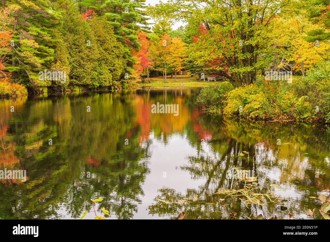 Flinton Falls Conservation Area Lennox Addington County Flinton Ontario Canada in autunno Foto Stock