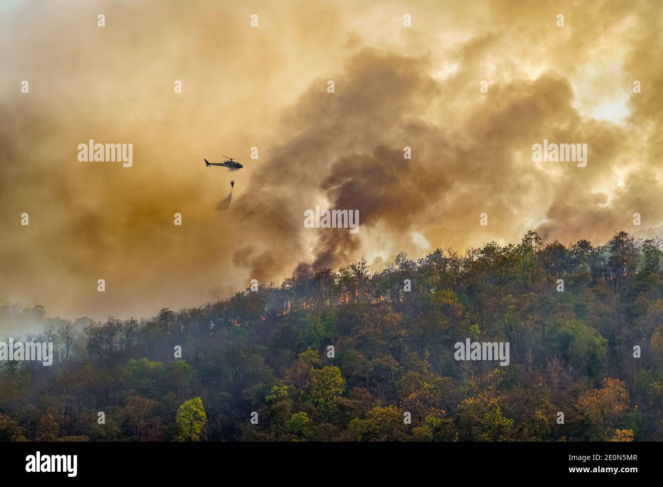 Elicottero antincendio che fa cadere l'acqua sul fuoco della foresta Foto  stock - Alamy