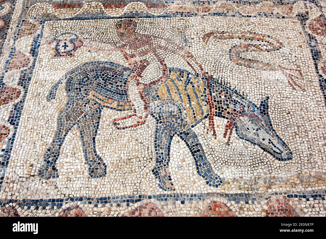 La Casa del mosaico di Acrobat a Volubilis in Marocco. Volubilis era la capitale della provincia romana di Mauretania. Foto Stock