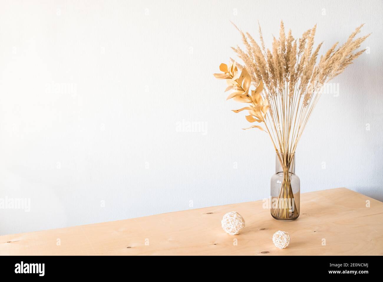 Fiori secchi in vaso di vetro con luce vuota parete per un decor minimalista Foto Stock