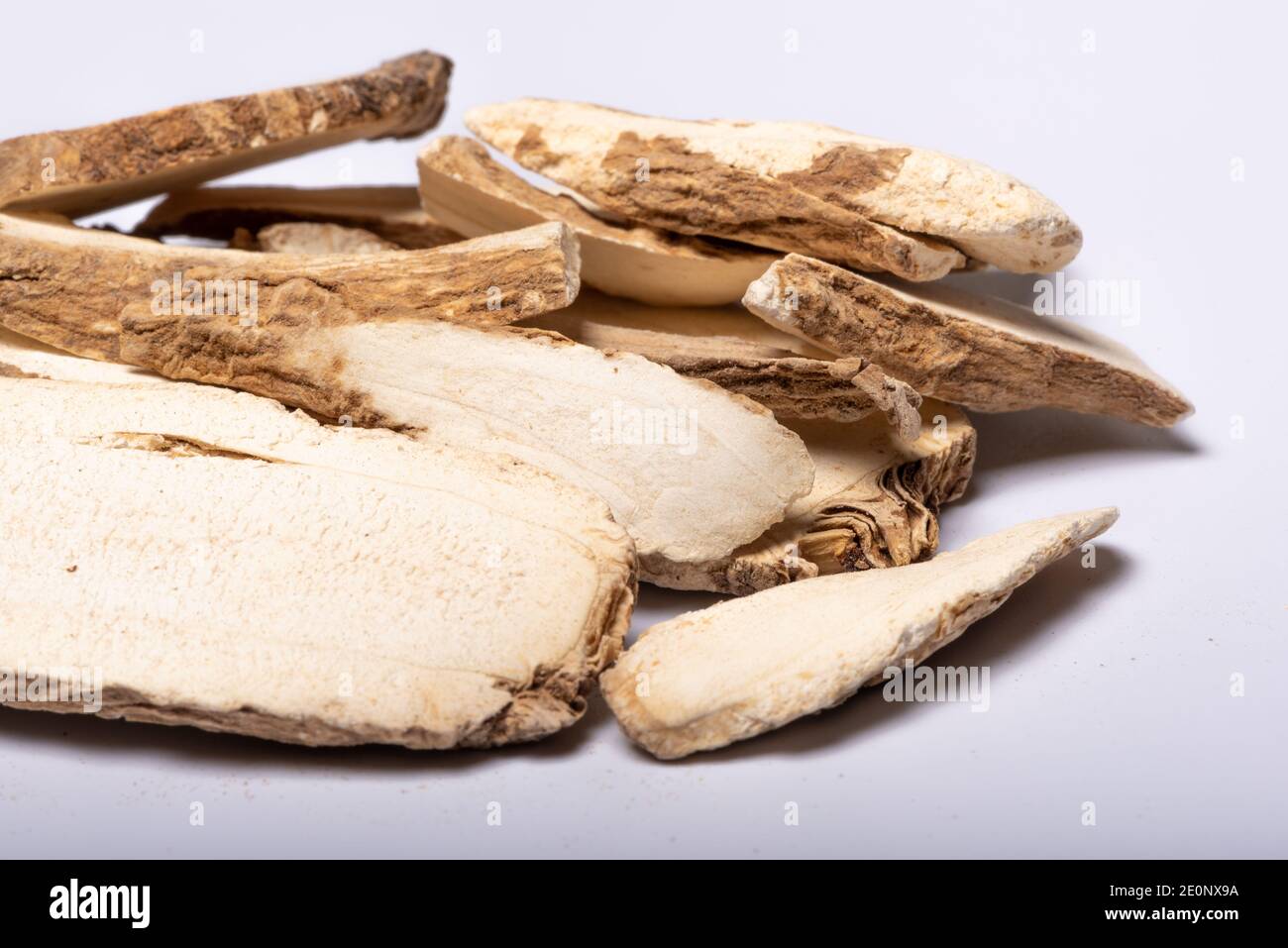 Radici essiccate di angelica dahurica anche conosciuto come mucchio di angelica cinese vista ravvicinata su sfondo bianco Foto Stock