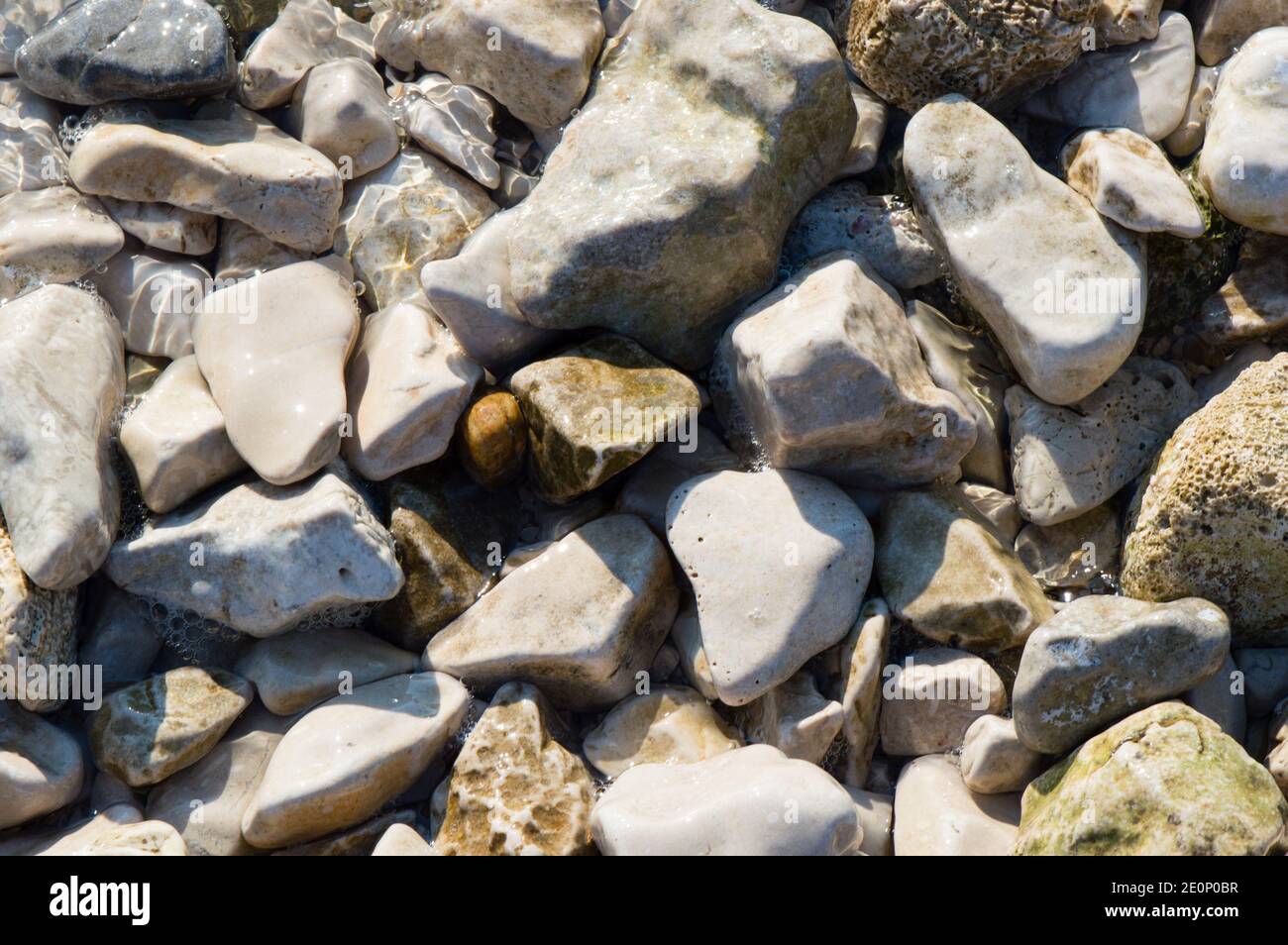 Pietre di mare sulla riva, ricoperte da mare Adriatico pulito, sfondo di forme irregolari Foto Stock