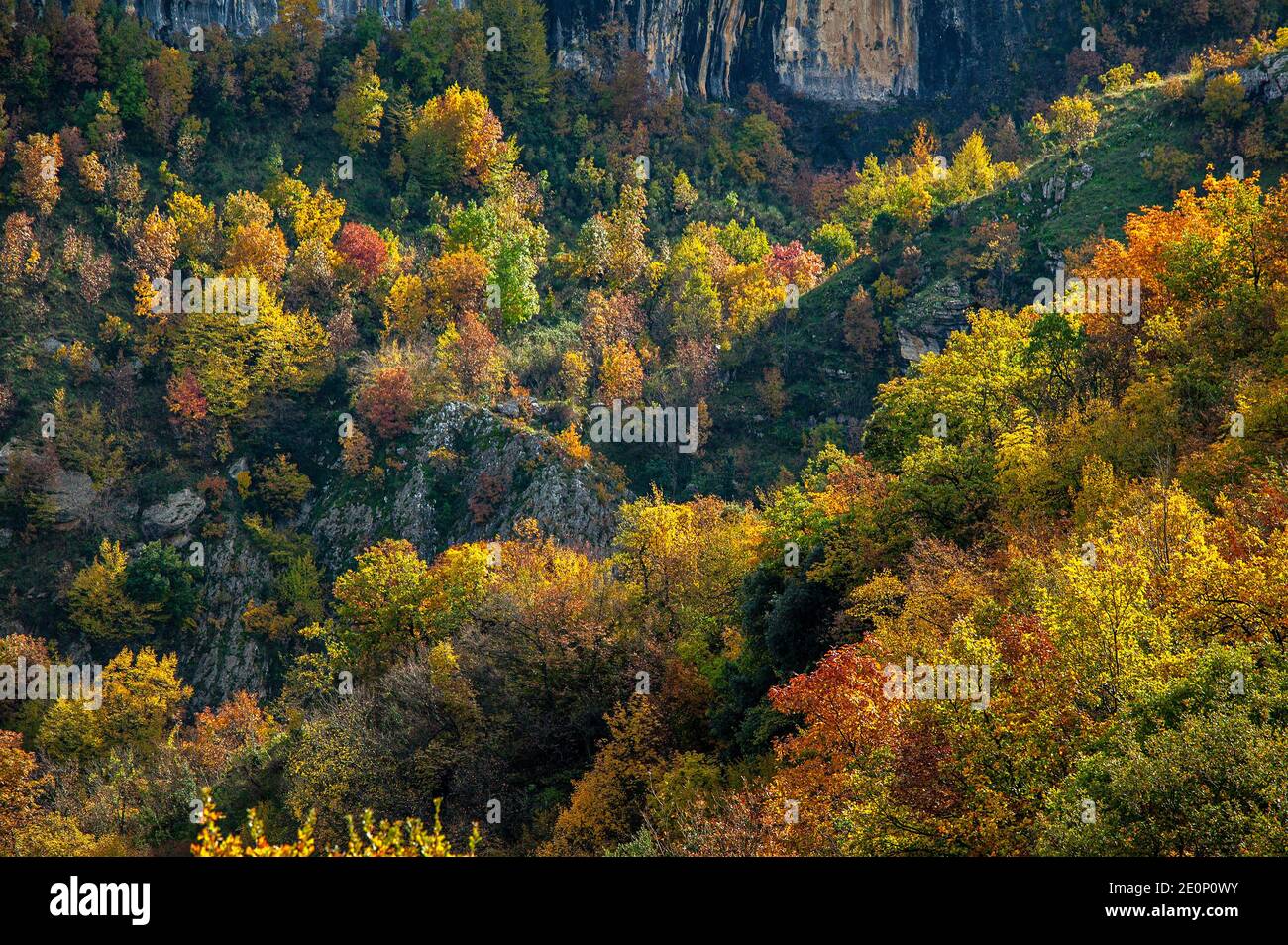 Giallo, verde e rosso; i colori dell'autunno nel Parco Nazionale d'Abruzzo, Lazio e Molise. Abruzzo, Italia, europa Foto Stock