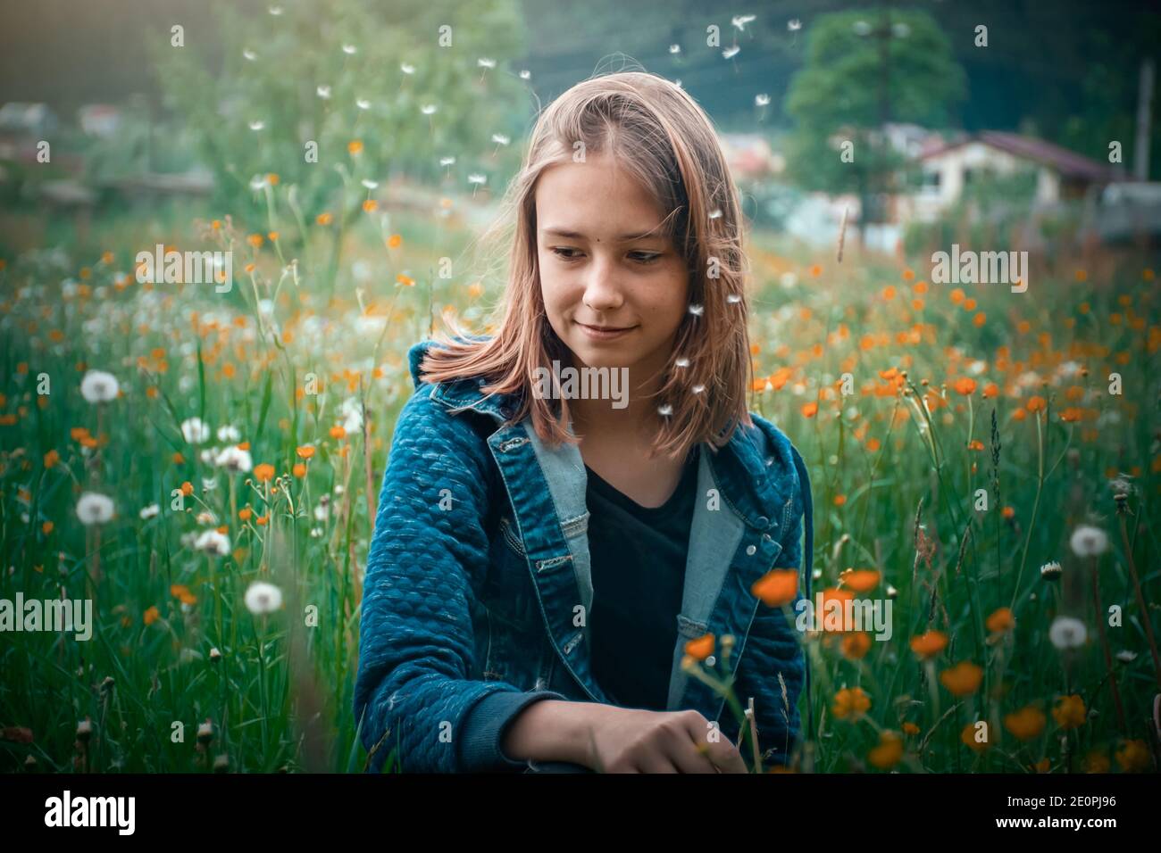 la ragazza giovane raccoglie i fiori selvatici su un prato estivo in un villaggio Foto Stock