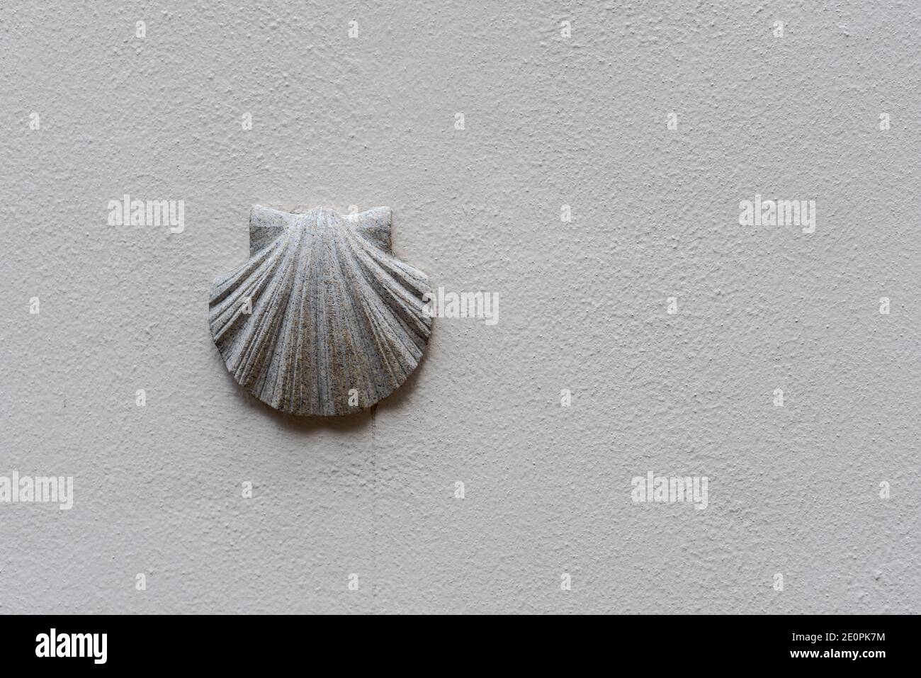 Guscio verniciato bianco di cuoio capelluto montato su parete bianca di casa Foto Stock