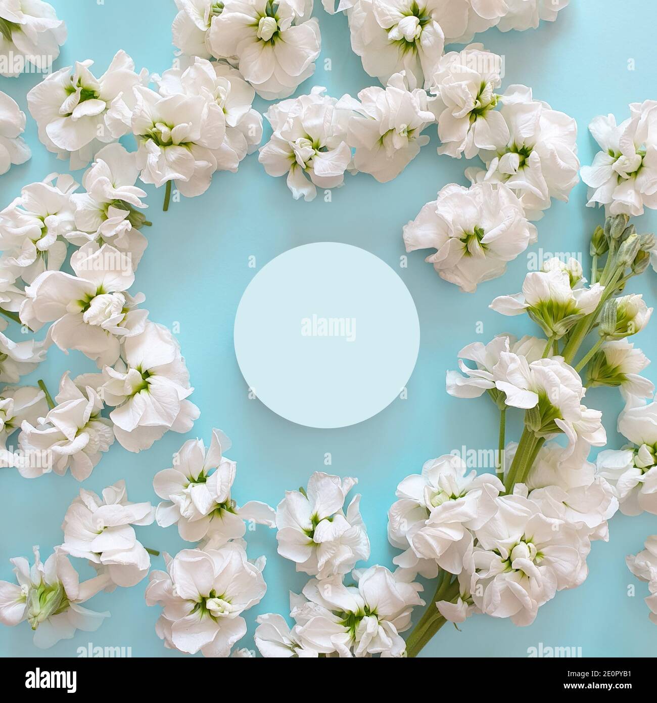 Vista dall'alto di un vaso rotondo di un prodotto di bellezza. Sfondo blu pallido con fiori bianchi. Posizionare il prodotto qui. Disposizione piatta. Foto Stock