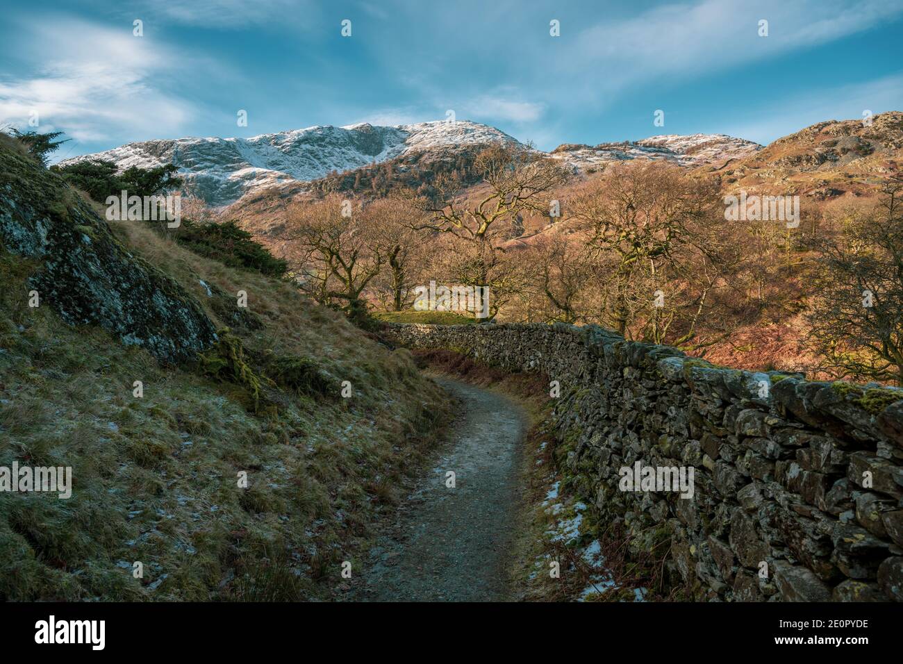 Sentiero nel Lake District, Inghilterra Foto Stock