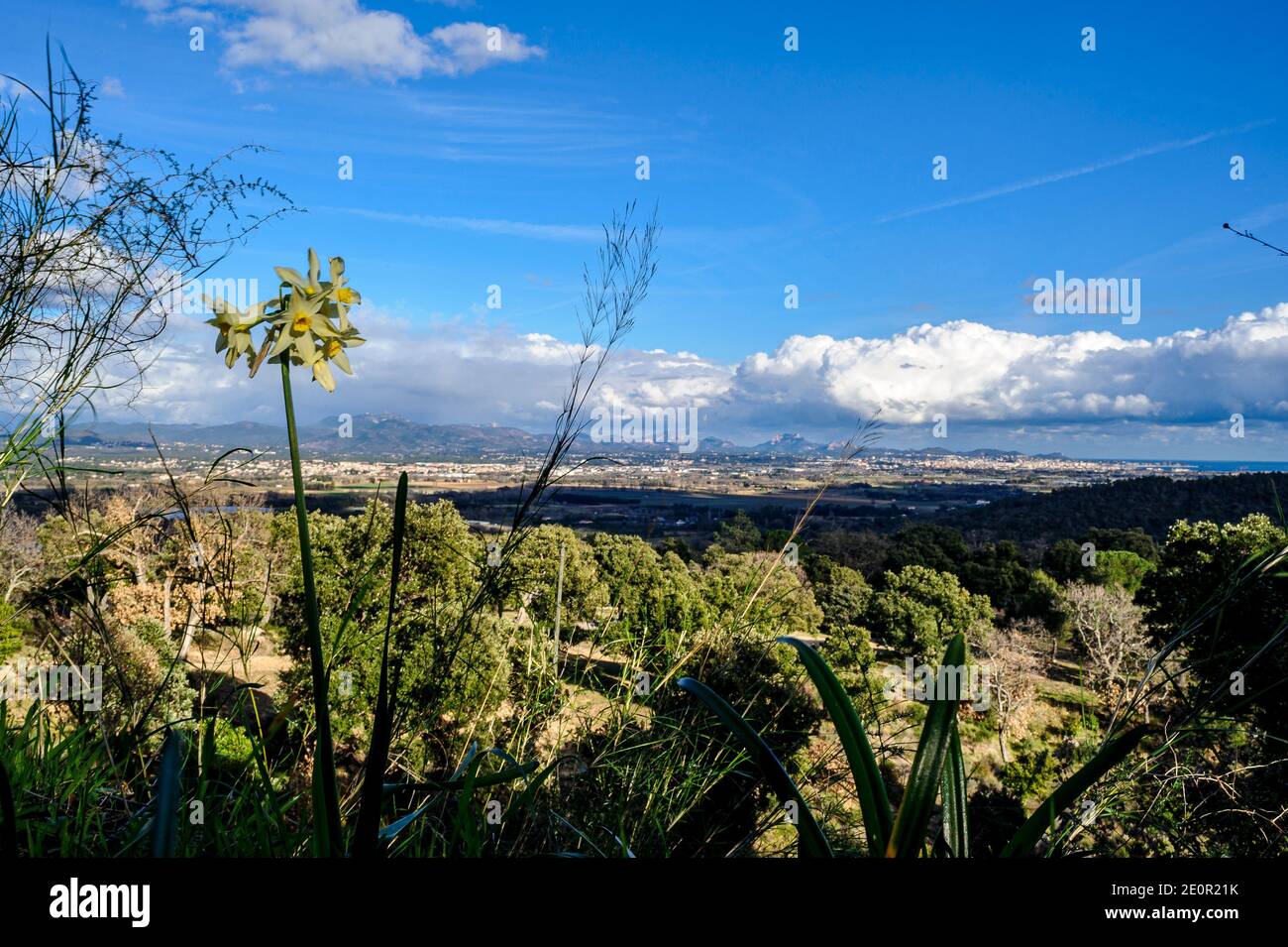 Paesaggio invernale dell'entroterra provenzale francese. Il villaggio di Roquebrune-sur-Argens con le montagne Esterel sullo sfondo. Foto Stock