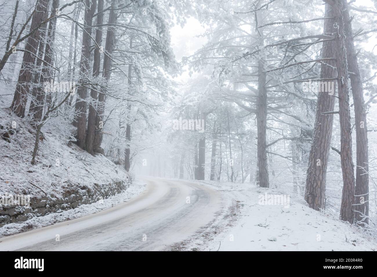 Una strada nella foresta invernale. Splendido paesaggio invernale con foresta di conifere e serpentina di montagna. Fiaba invernale innevata. Via vuota Foto Stock
