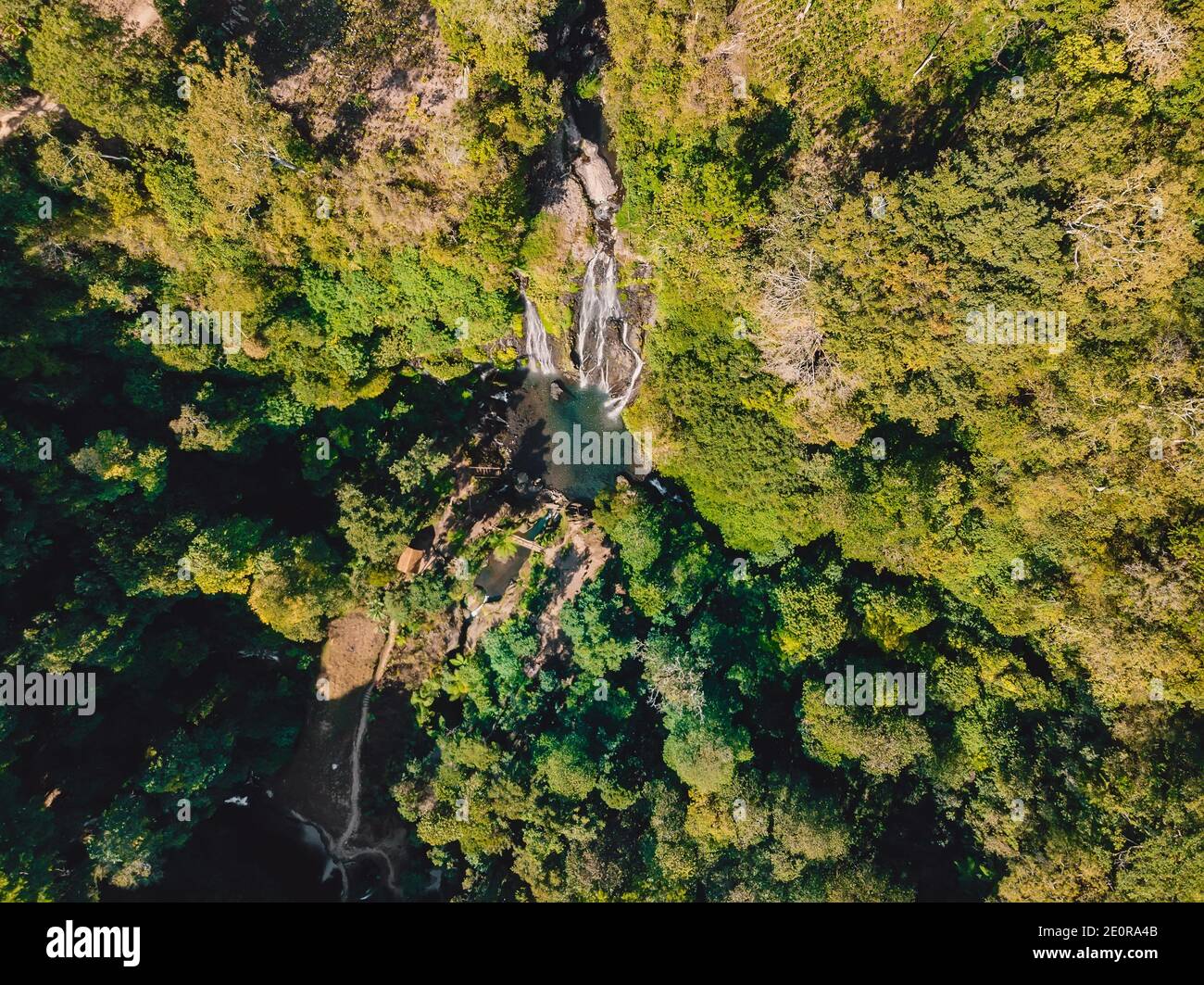 Cascata con piccolo lago nella giungla tropicale a Bali. Indonesia. Vista aerea del drone Foto Stock