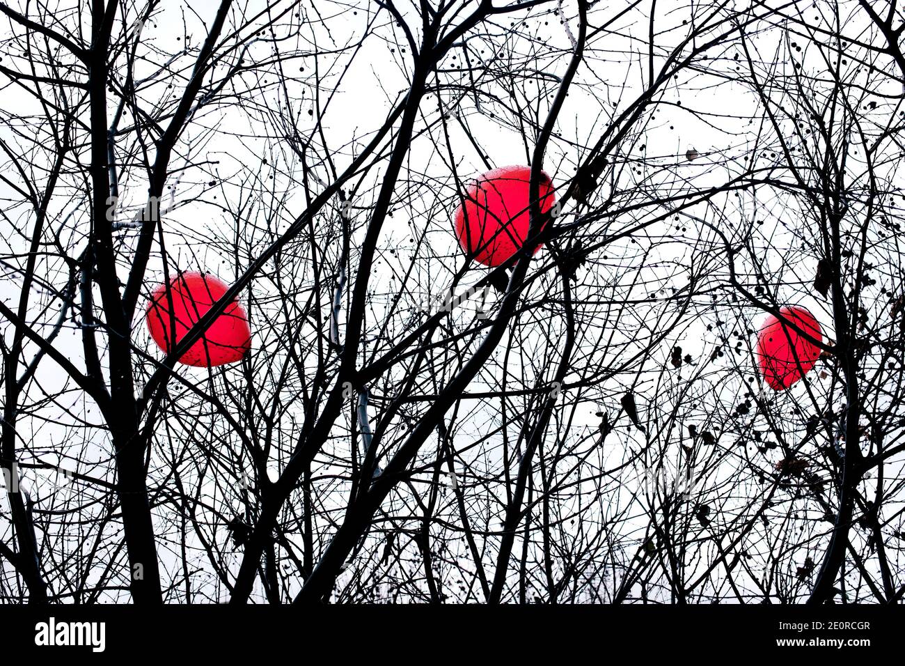 Tre palloncini rossi catturati nei rami di un albero. Foto Stock