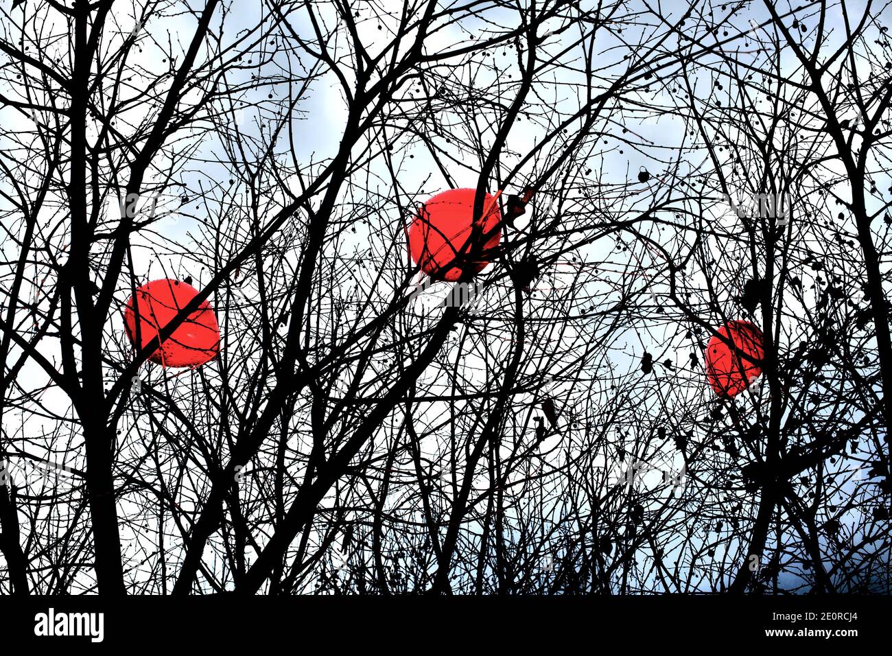 Tre palloncini rossi catturati nei rami di un albero. Foto Stock