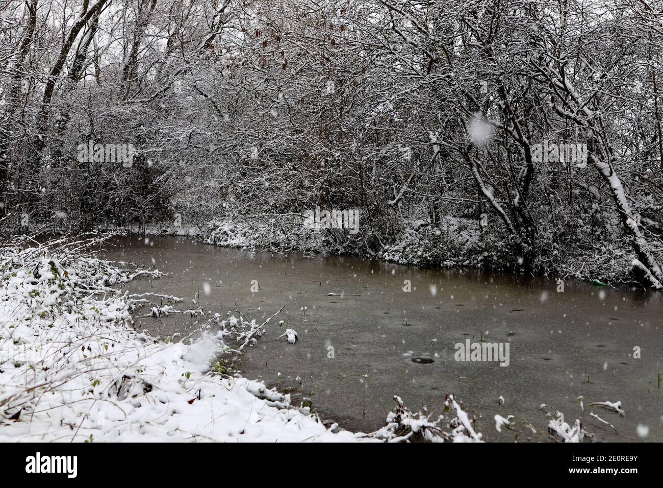 Vista del Bird Pond presso 'The Spinney' Stainton Village Middlesbrough Foto Stock