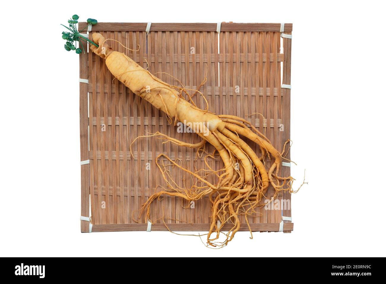 Radice di ginseng fresco su cesto di bambù con foglie verdi e. bacche Foto Stock