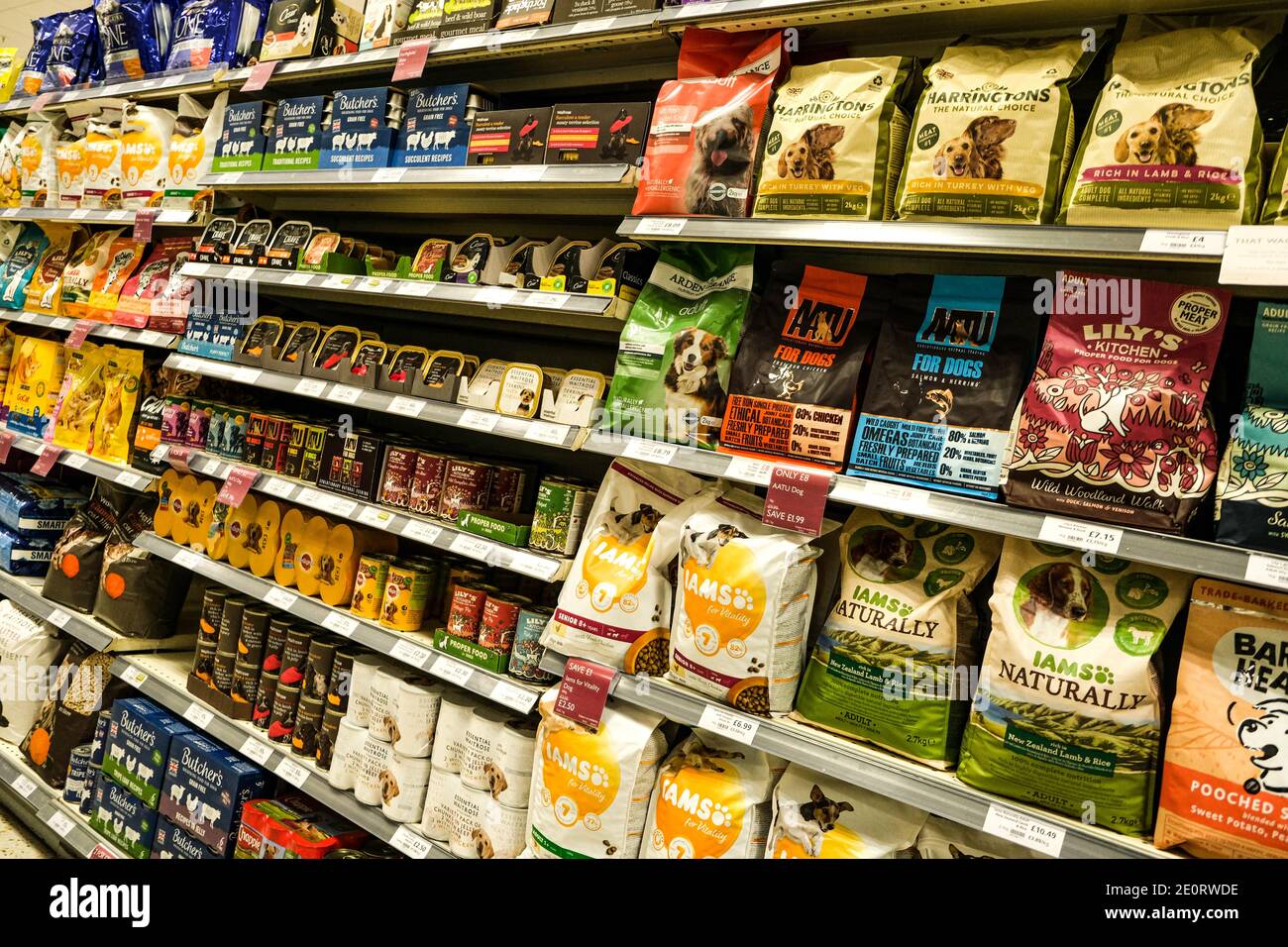 Londra UK, gennaio 02 2021, selezione di alimenti per cani in scatola e biscotti secchi su scaffali Supermarket Foto Stock