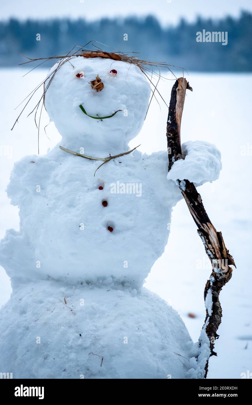 Ritratto di un Snowman con bel dettaglio Foto Stock