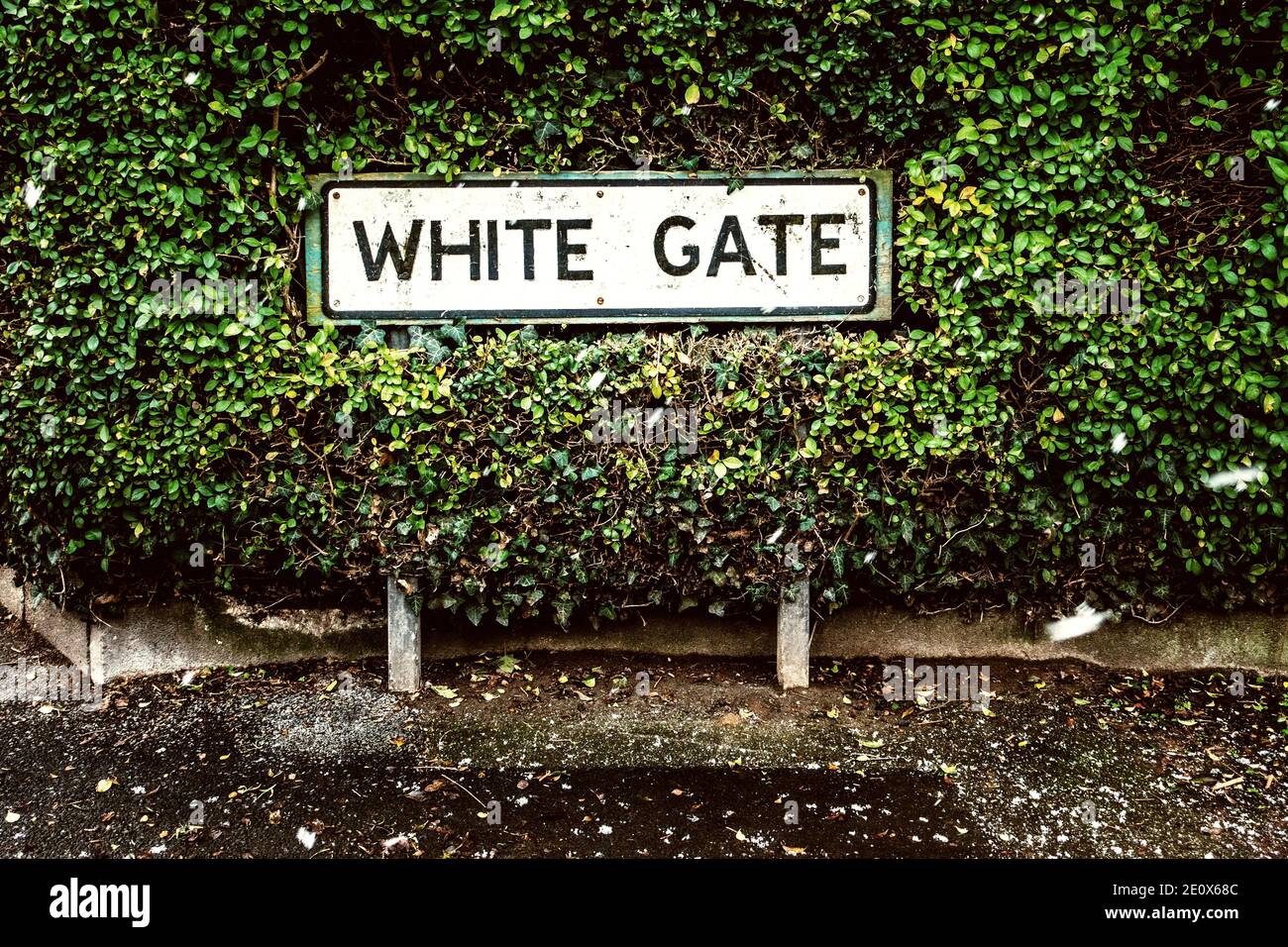White Gate Street segno vicino casa recinzione barriera Foto Stock