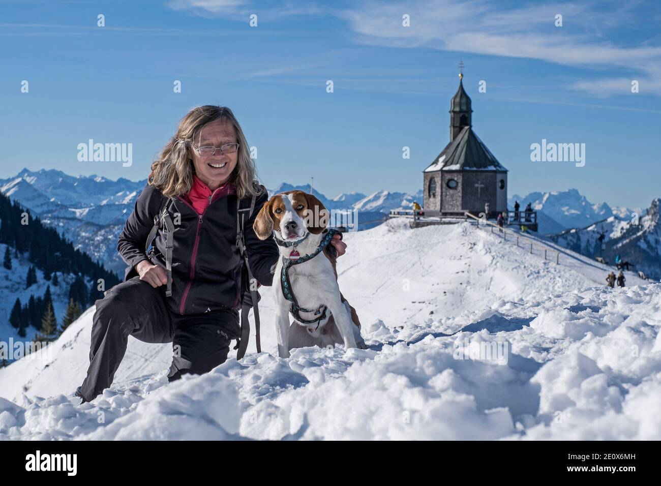 Beagle in un'escursione invernale crogiolarsi davanti al Ben nota piccola Cappella di montagna sul Wallber Foto Stock