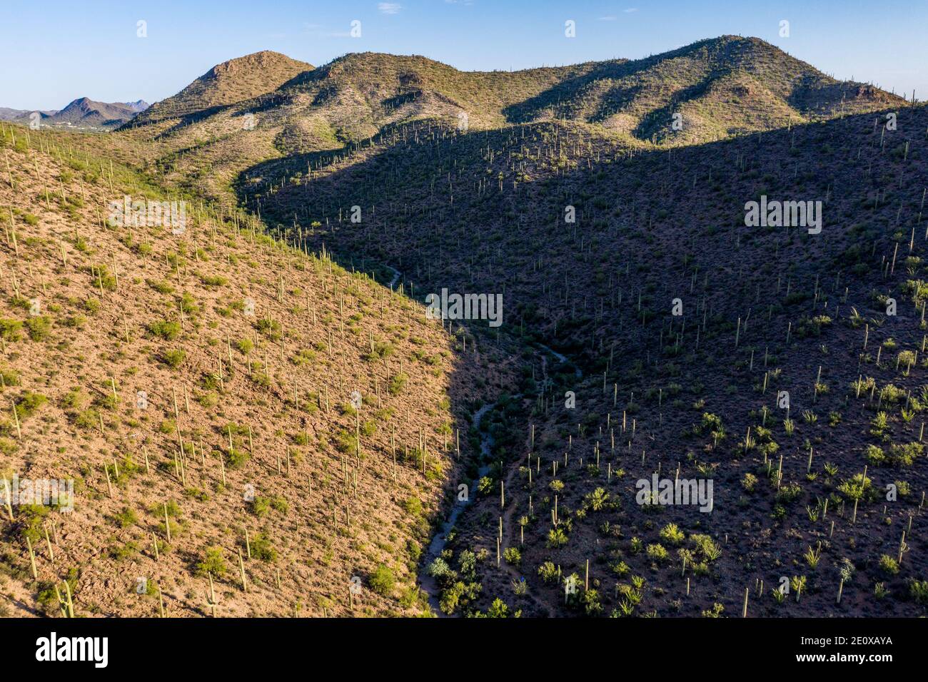 Hidden Canyon Trail, JW Marriott Starr Pass Resort Hotel, Tuscon, AZ, Stati Uniti Foto Stock