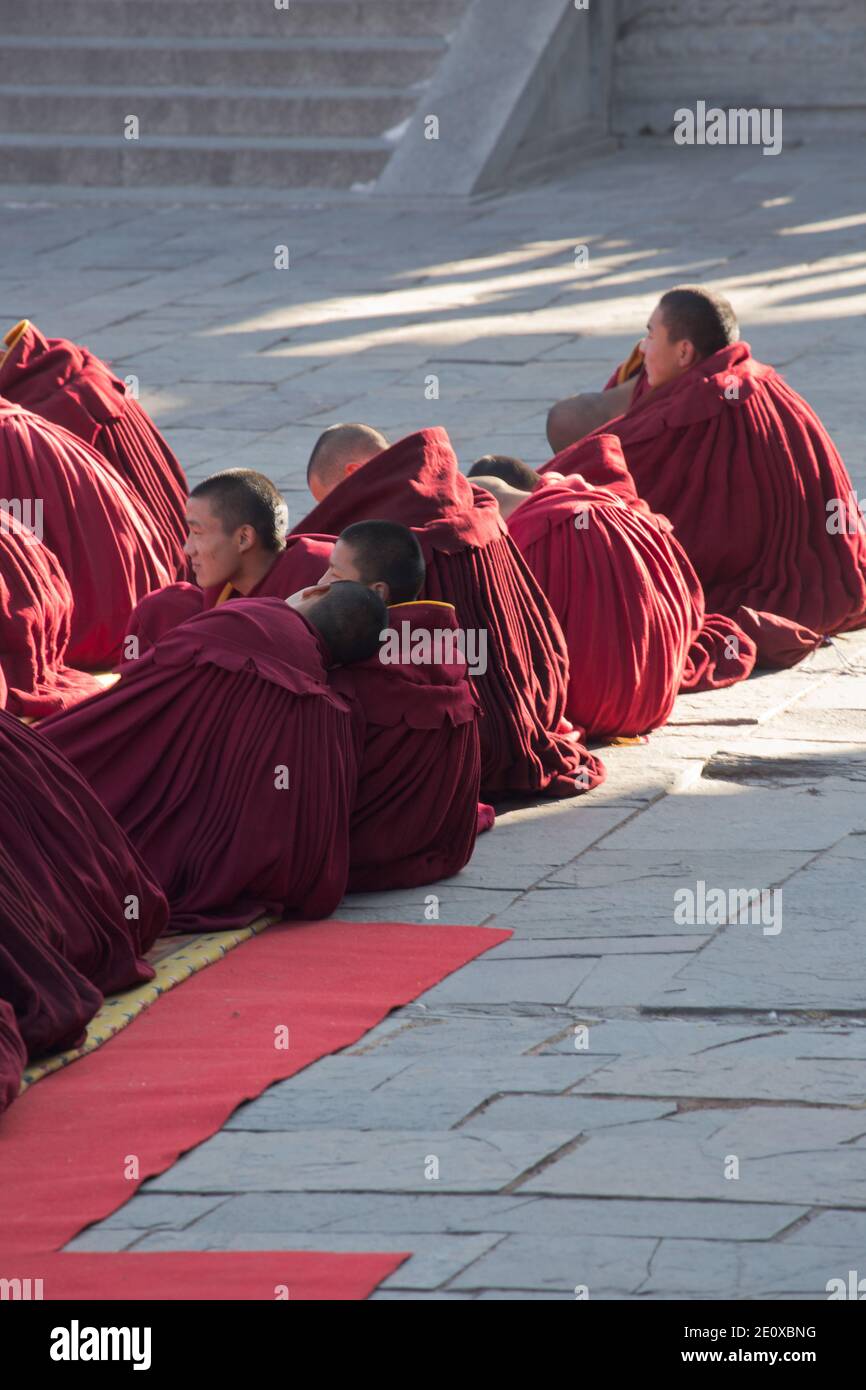Monaci buddisti tibetani in abiti rossi al Monastero di Ta'er Foto Stock