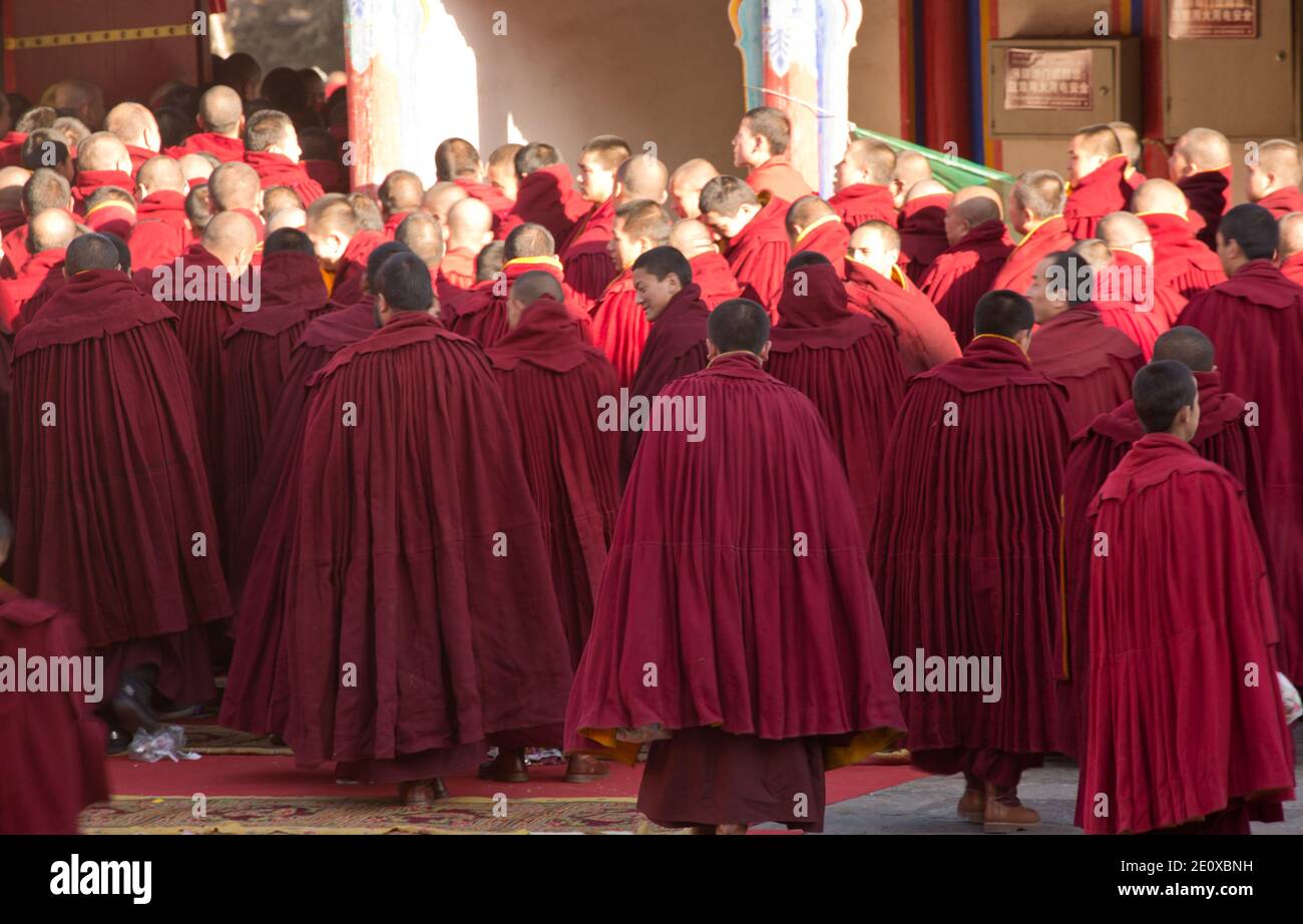 Monaci buddisti tibetani in abiti rossi al Monastero di Ta'er Foto Stock