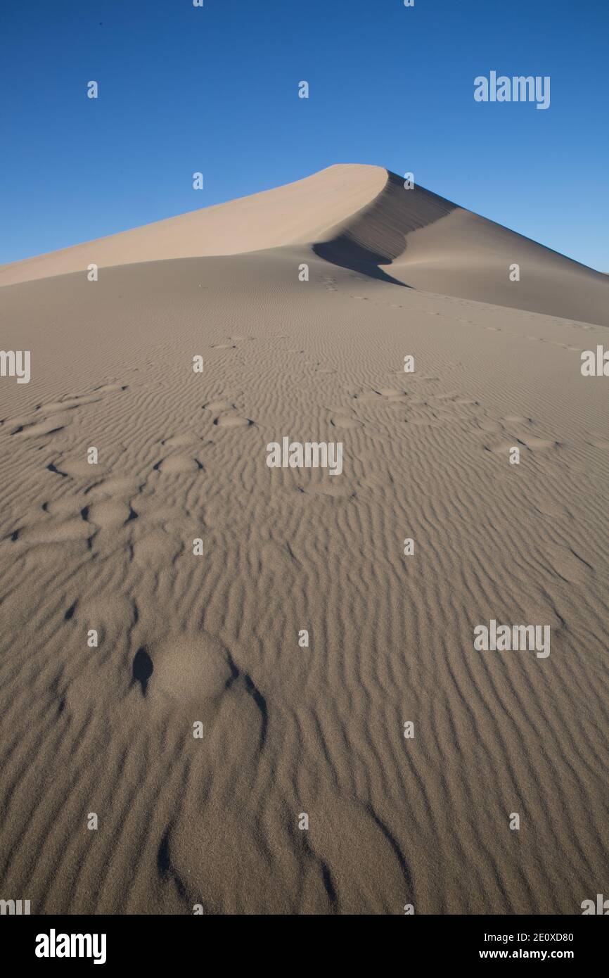 Echoing Sands e Crescent Moon Lake, Dunhuang, provincia di Gansu, Cina Foto Stock