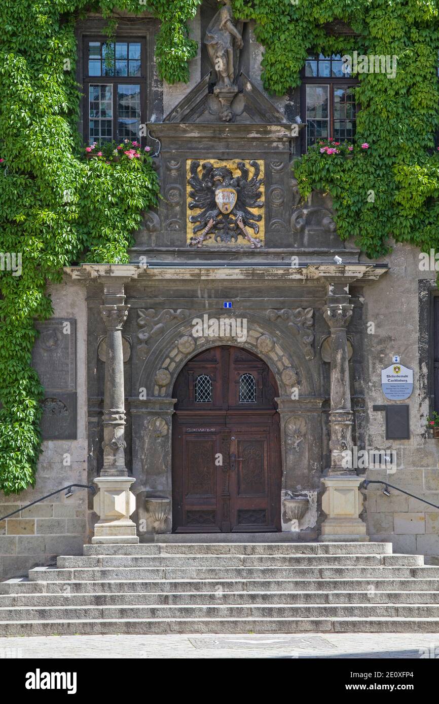 La facciata del municipio gotico di Quedlinburg è Sopravcrescita con Ivy Foto Stock