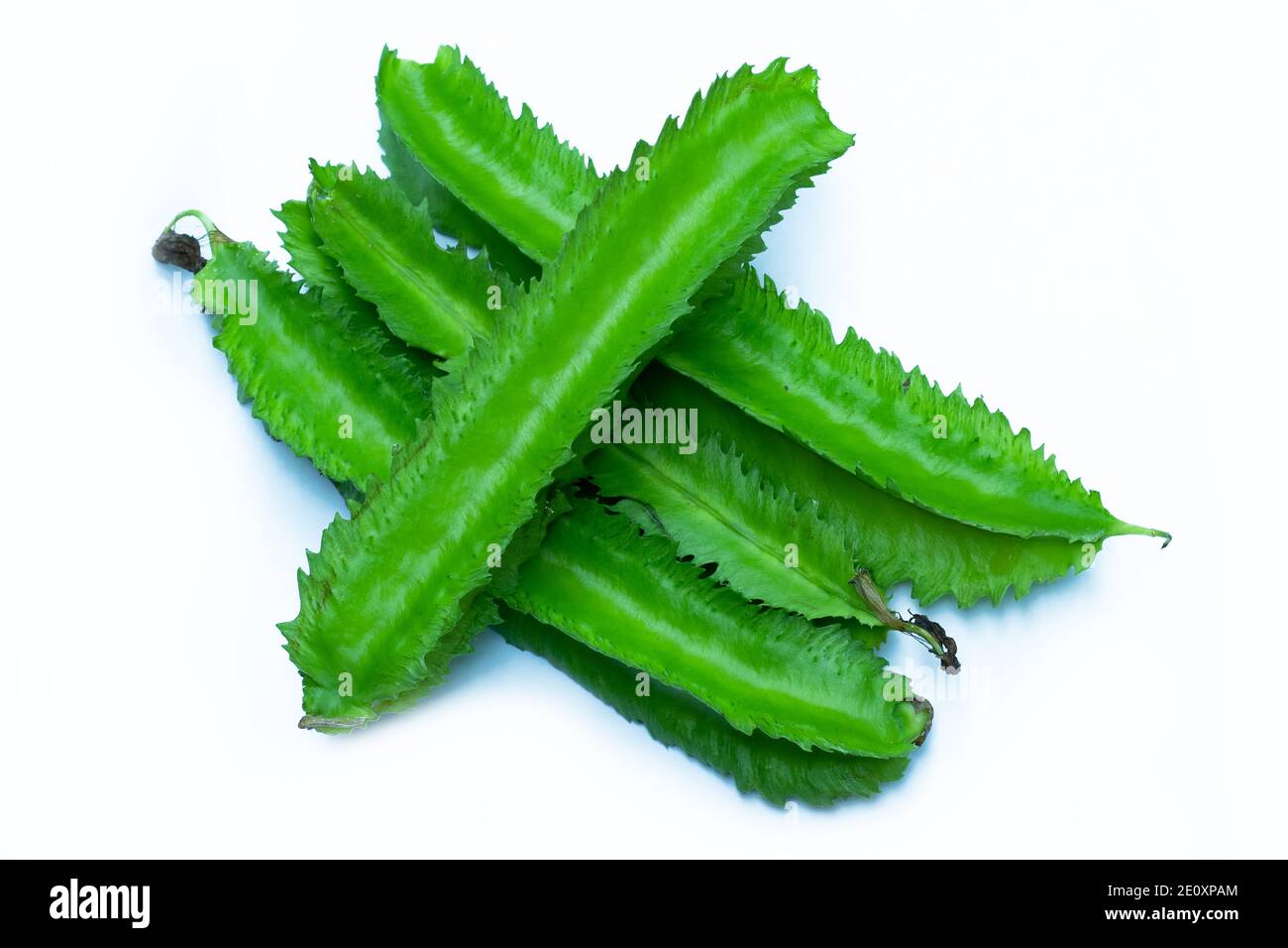 Leguminosae vegetale o fagiolo verde su sfondo bianco Foto Stock