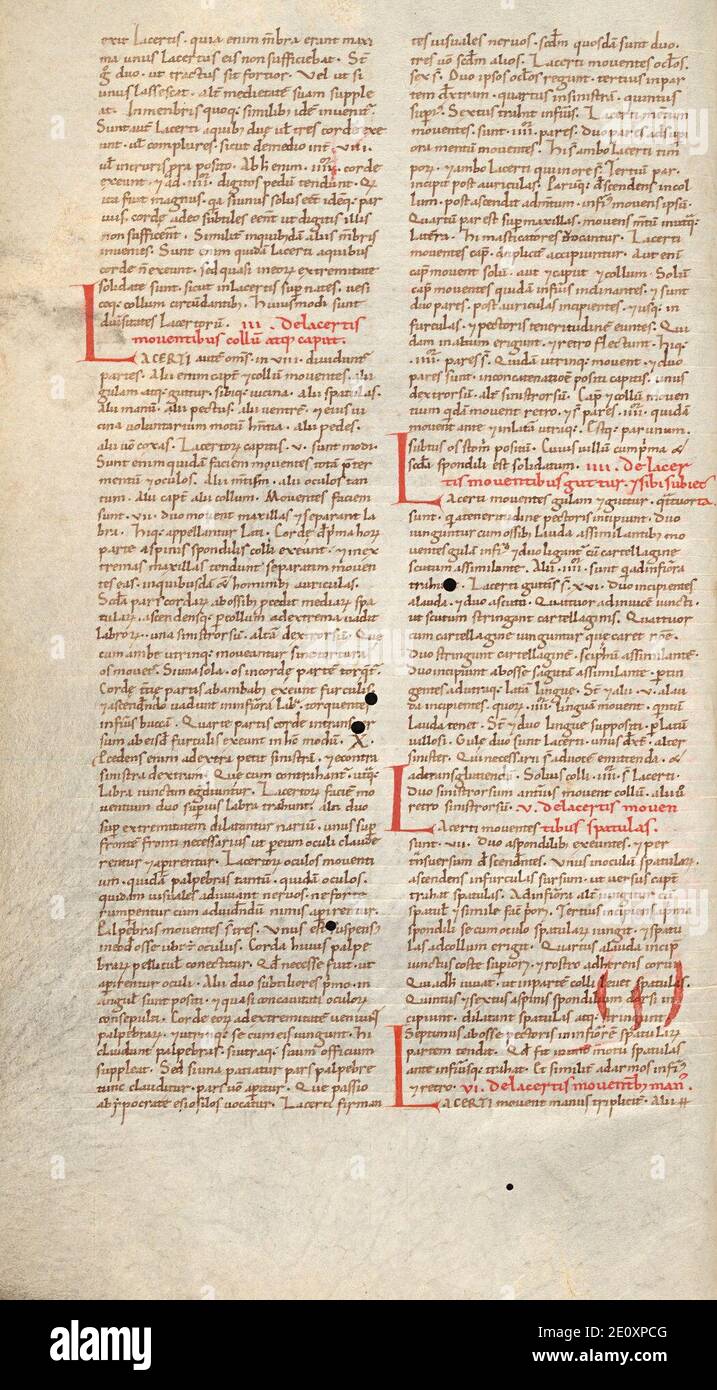 Liber pantegni - KB 73 J 6 - folio 013v. Foto Stock