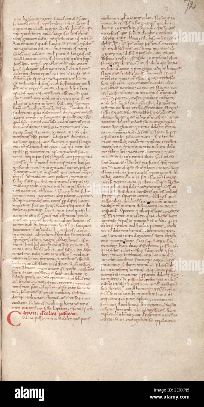Liber pantegni - KB 73 J 6 - folio 072r. Foto Stock
