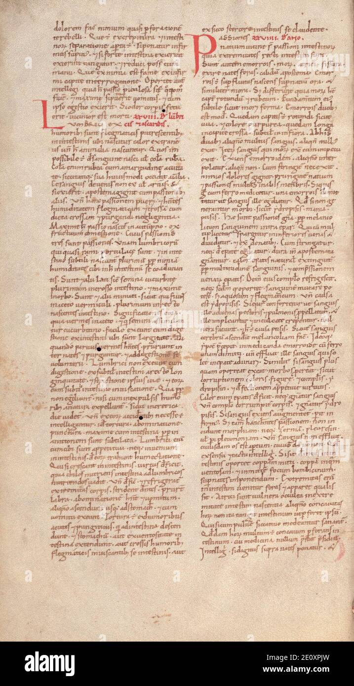 Liber pantegni - KB 73 J 6 - folio 072v. Foto Stock