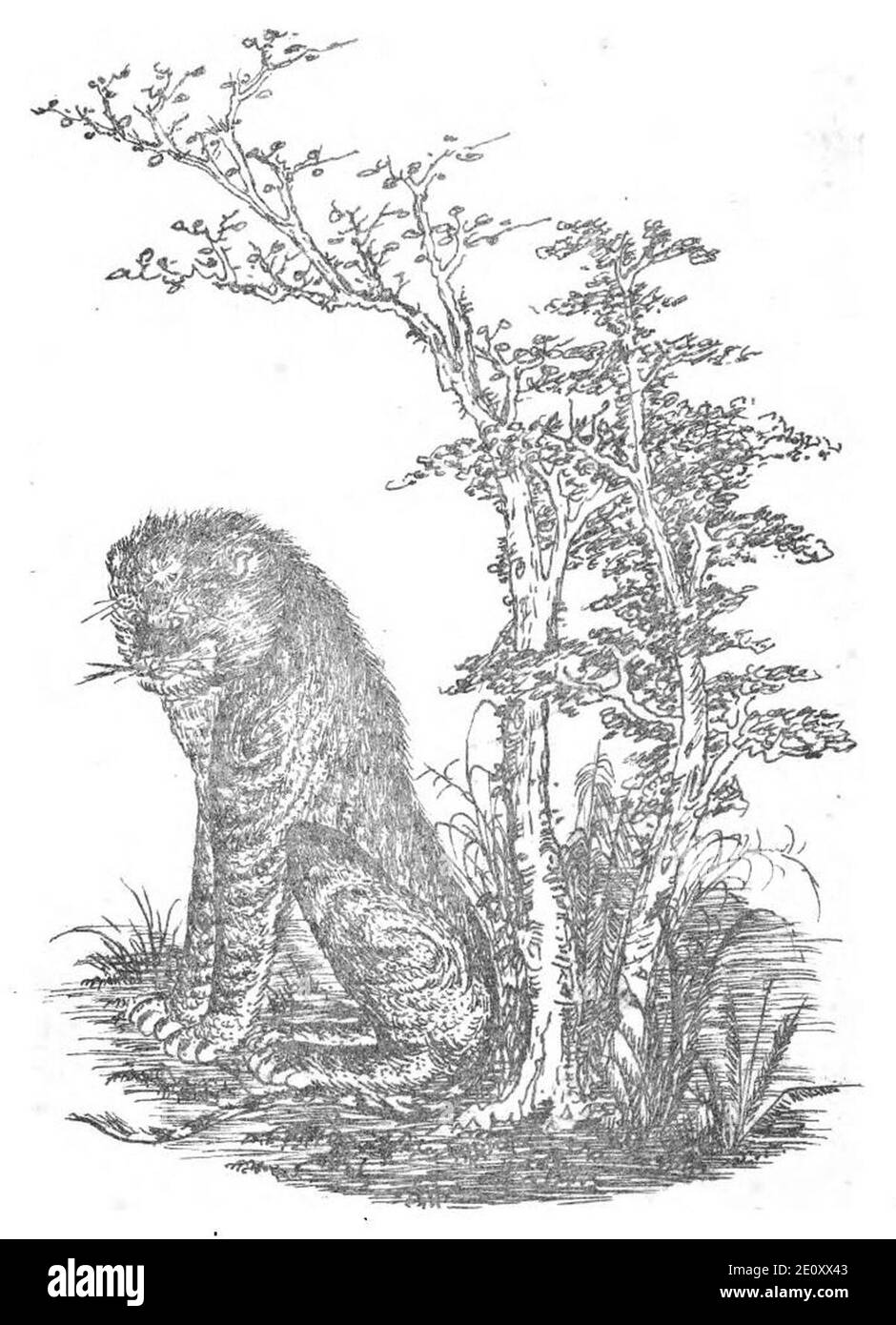 Lich Annam thuoc ve sau tinh Nam Ki immagine 12. Foto Stock