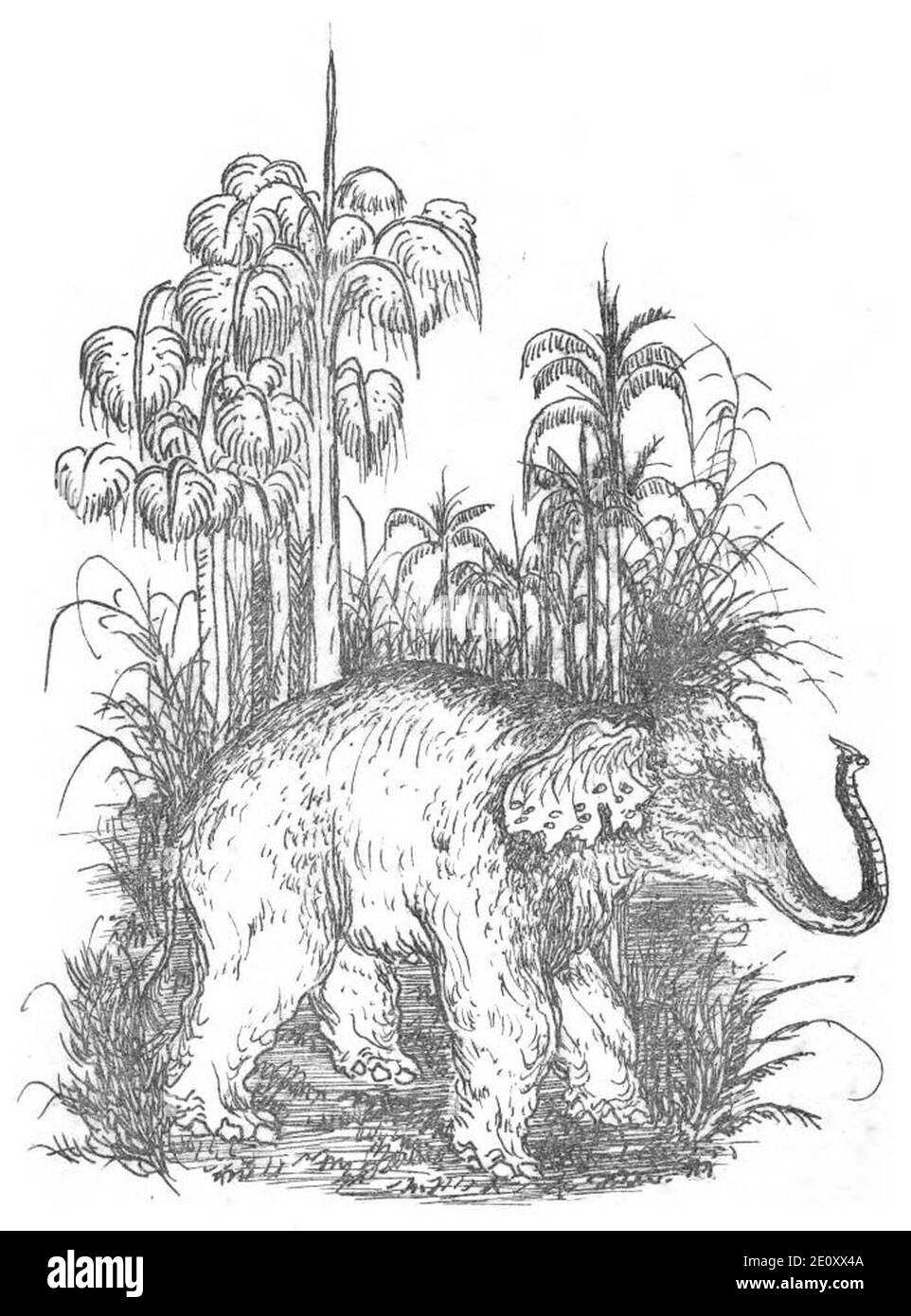 Lich Annam thuoc ve sau tinh Nam Ki immagine 8. Foto Stock