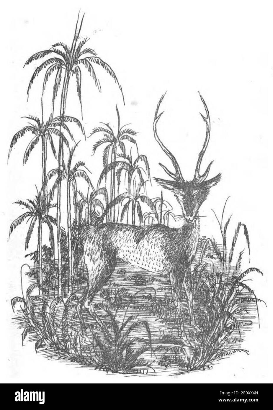 Lich Annam thuoc ve sau tinh Nam Ki immagine 9. Foto Stock