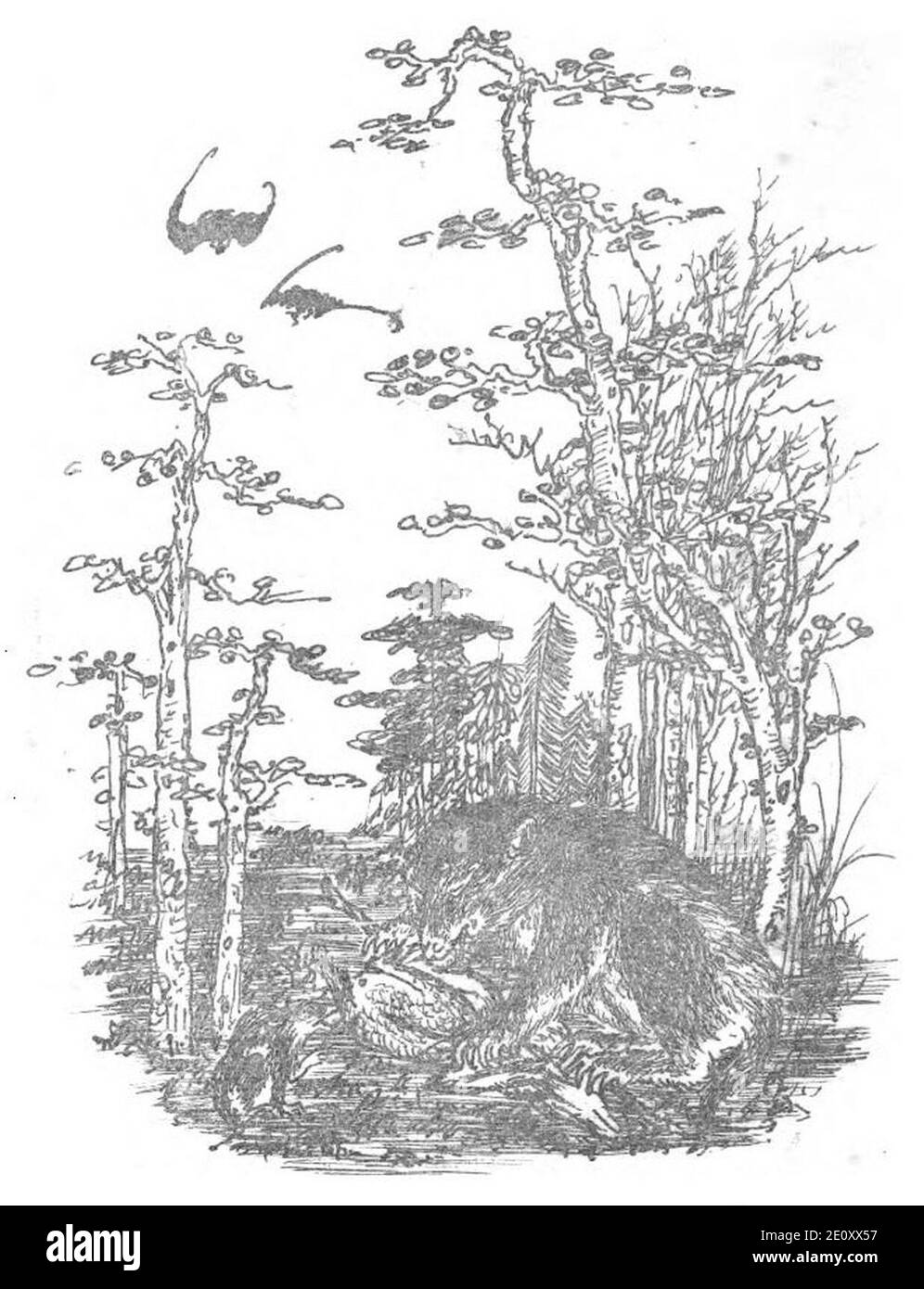 Lich Annam thuoc ve sau tinh Nam Ki immagine 11. Foto Stock