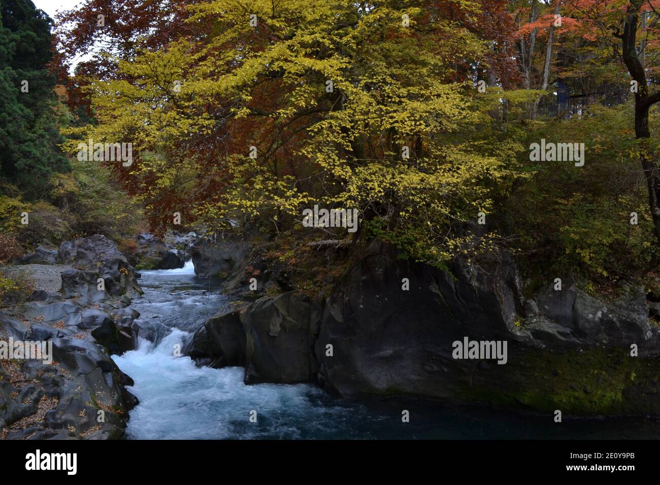 Autunno a Nikko, Giappone Foto Stock