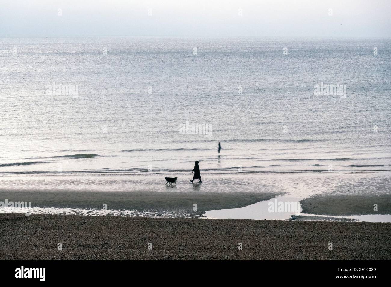 Hastings, East Sussex, Regno Unito. 3 gennaio 2021. Cane camminatore sulla spiaggia all'alba su freddo nuvoloso mattina. C.Clarke/Alamy Live News Foto Stock