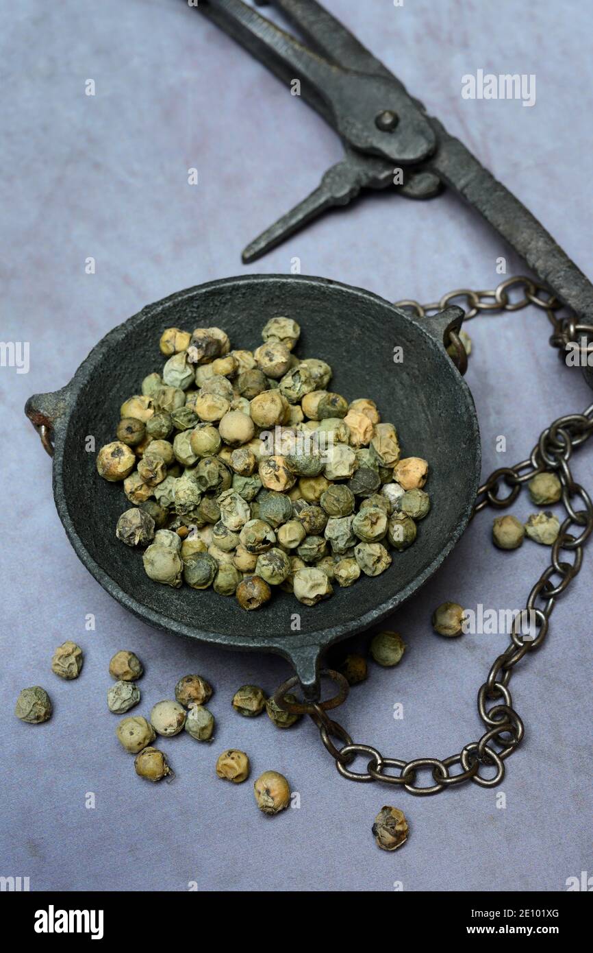 Peperone malabarese verde in padella, Germania, Europa Foto Stock